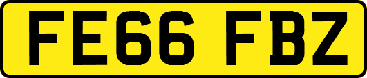 FE66FBZ