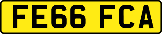 FE66FCA