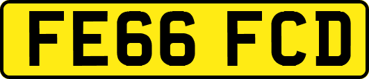 FE66FCD