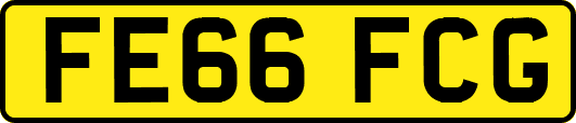 FE66FCG