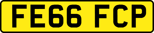 FE66FCP