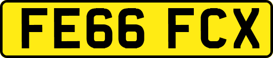 FE66FCX