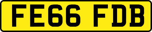 FE66FDB