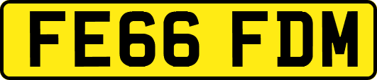 FE66FDM