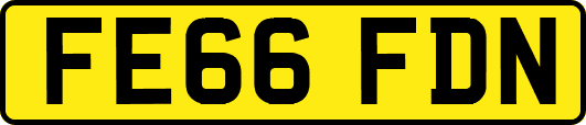 FE66FDN