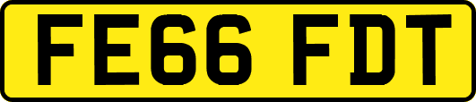 FE66FDT