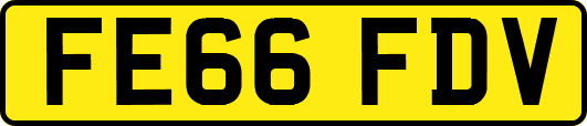 FE66FDV