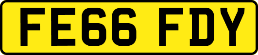 FE66FDY