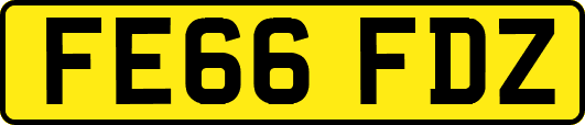 FE66FDZ