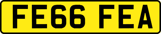 FE66FEA