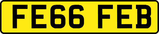 FE66FEB