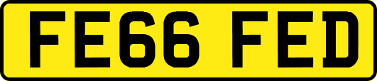 FE66FED