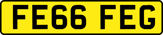 FE66FEG