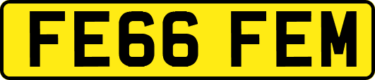 FE66FEM