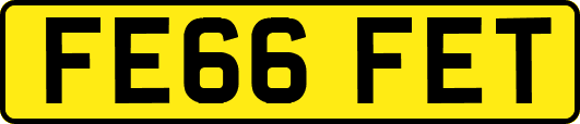 FE66FET