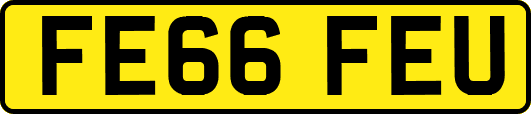 FE66FEU