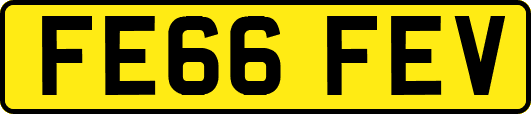 FE66FEV