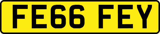 FE66FEY