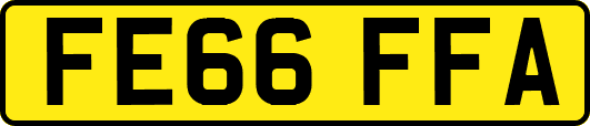 FE66FFA