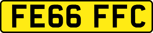 FE66FFC