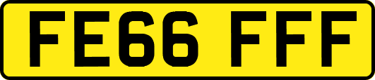 FE66FFF