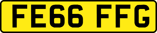 FE66FFG