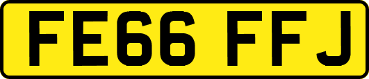 FE66FFJ