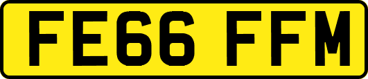 FE66FFM