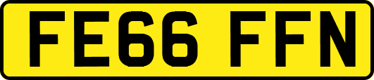 FE66FFN