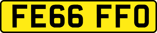 FE66FFO