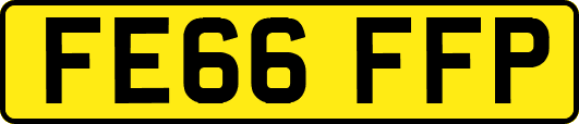 FE66FFP