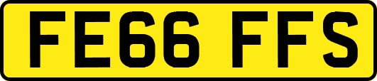 FE66FFS