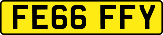 FE66FFY