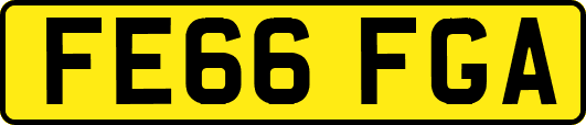 FE66FGA