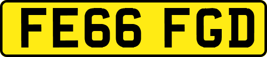 FE66FGD