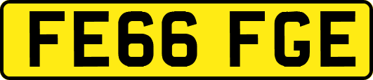 FE66FGE