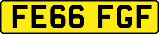 FE66FGF