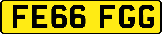 FE66FGG