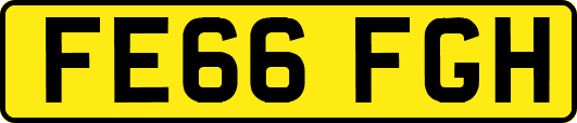 FE66FGH