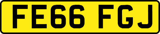FE66FGJ