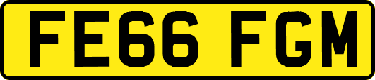 FE66FGM