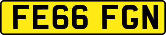 FE66FGN