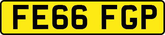 FE66FGP
