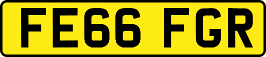FE66FGR