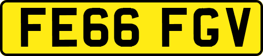 FE66FGV