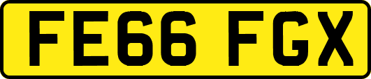 FE66FGX