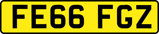 FE66FGZ