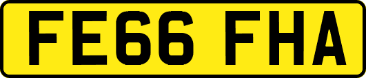 FE66FHA