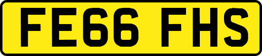 FE66FHS