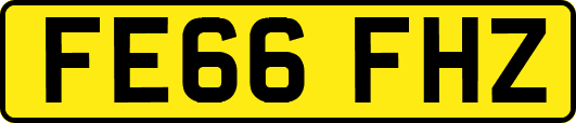 FE66FHZ